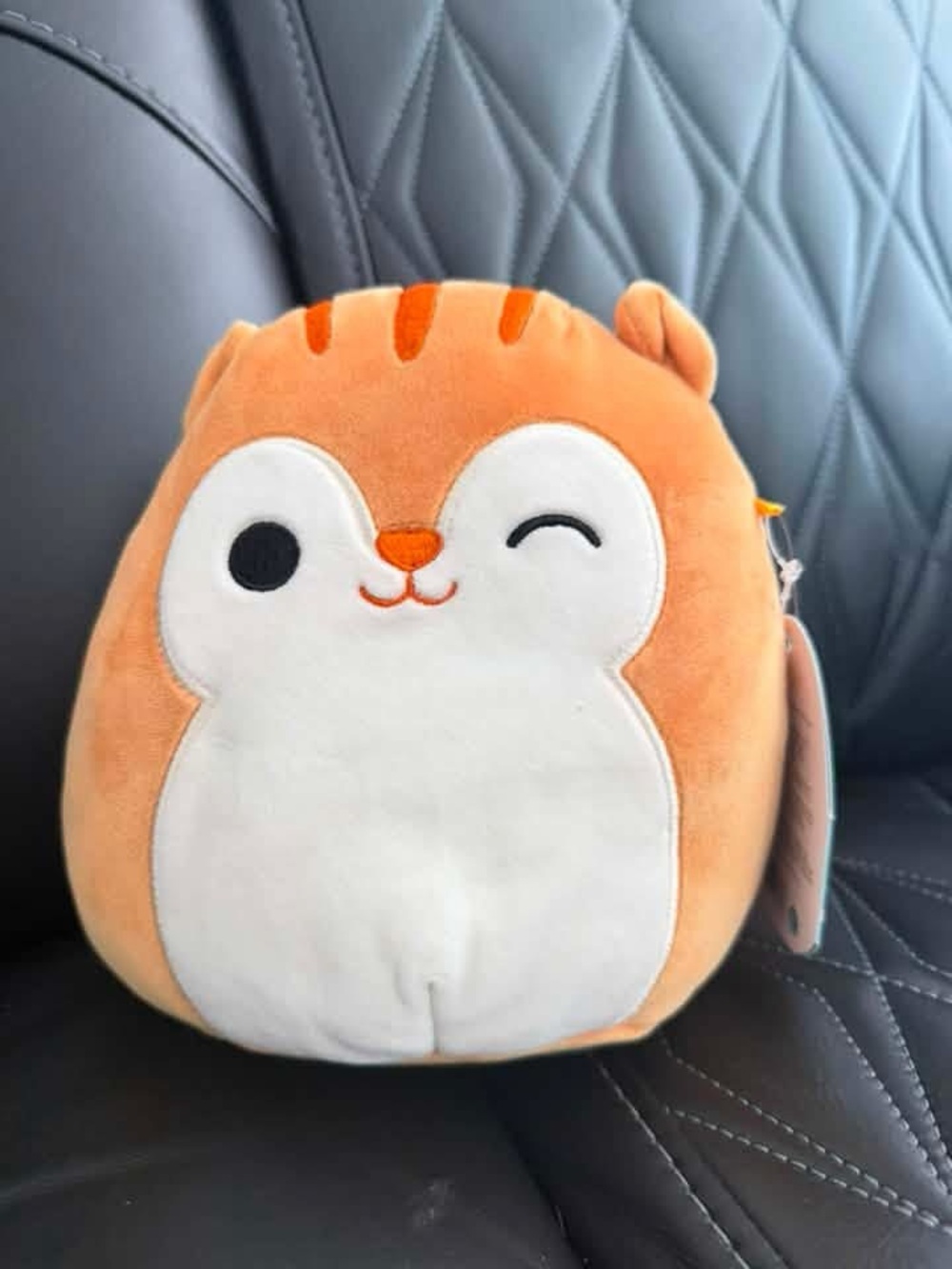 NWT squishmallow